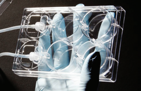 AVP-KIT-6 - Alvetex Perfusion Plate and Alvetex Scaffold 12 Well